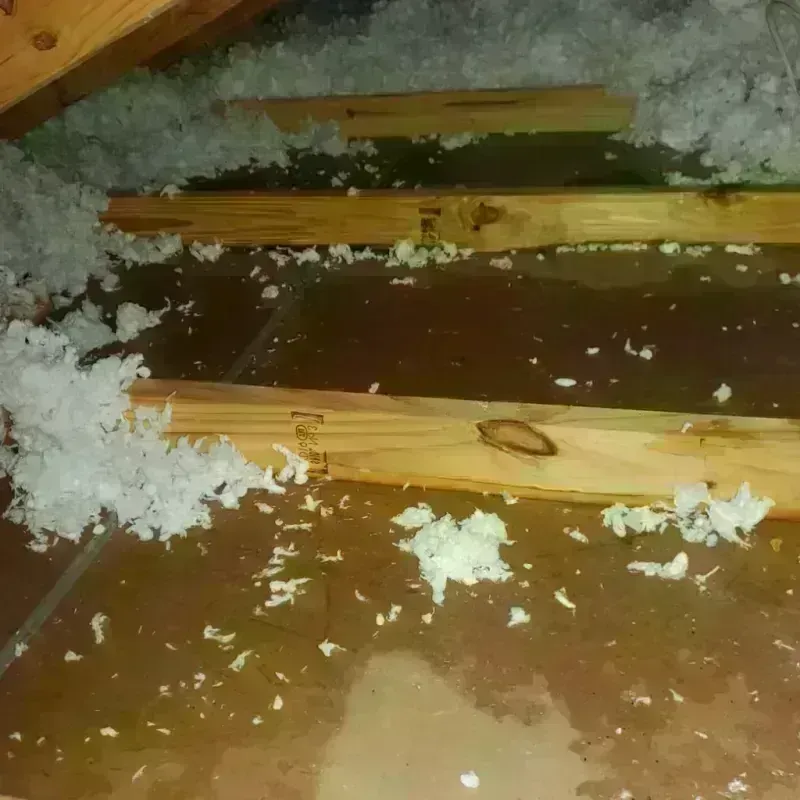 Attic Water Damage in Mazomanie, WI