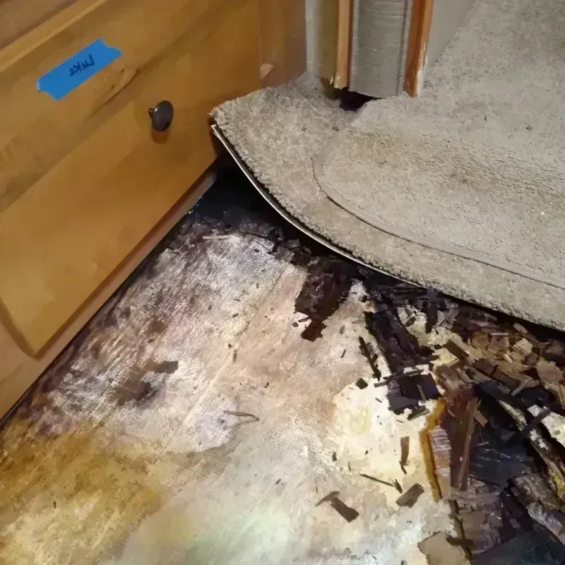 Wood Floor Water Damage in Mazomanie, WI